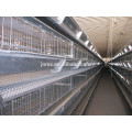 Heiße Verkauf moderne automatische Vogelkäfig Zubehör Ausrüstung für Schichten und Hühnerfarm